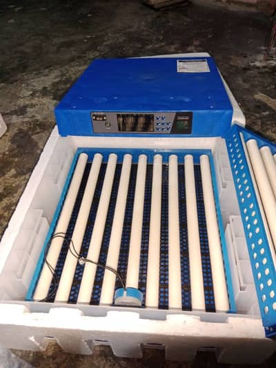 Egg machine