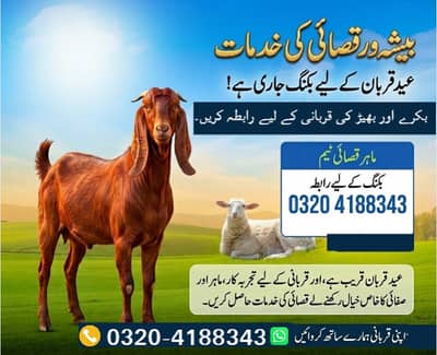 Qasai for Qurbani / Qasai / Book Qasai for Bakra / Qasai for dumba
