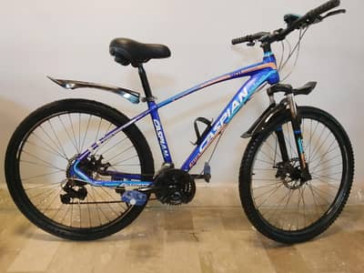 Mountain MTB cycle
