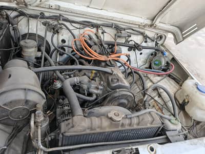 suzuki potohar