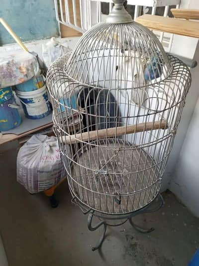 parrot cage