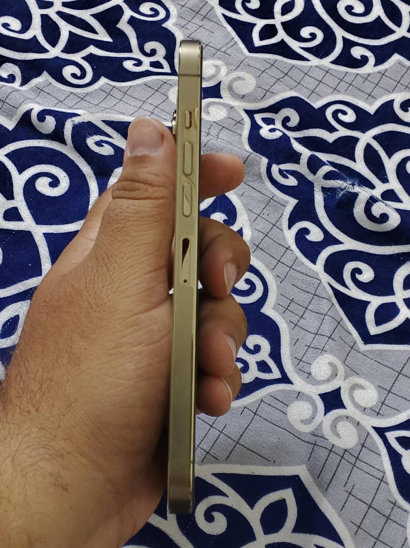 Iphone 13 pro max mint condition 12