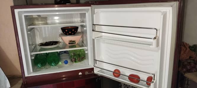 hair fridge