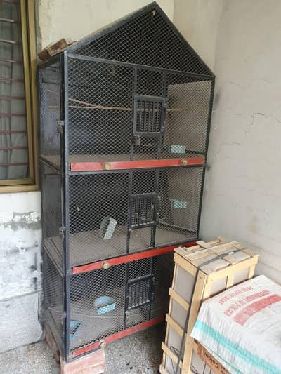 birds cage