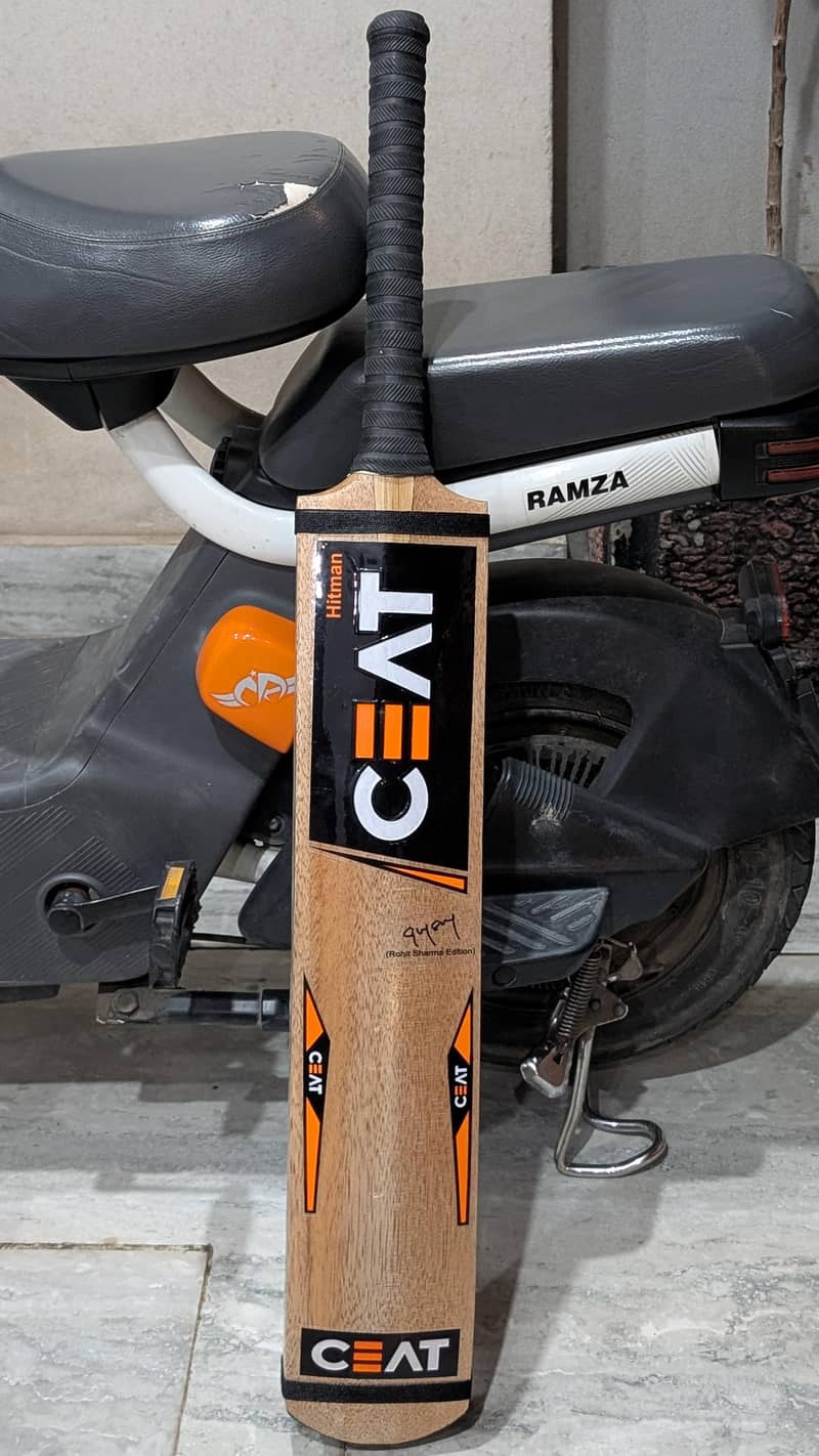 COCONUT BAT 1
