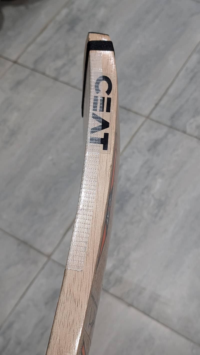 COCONUT BAT 2