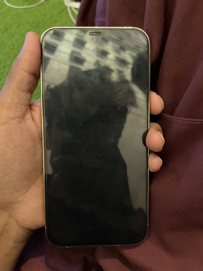 Iphone 12 Pro Max 1