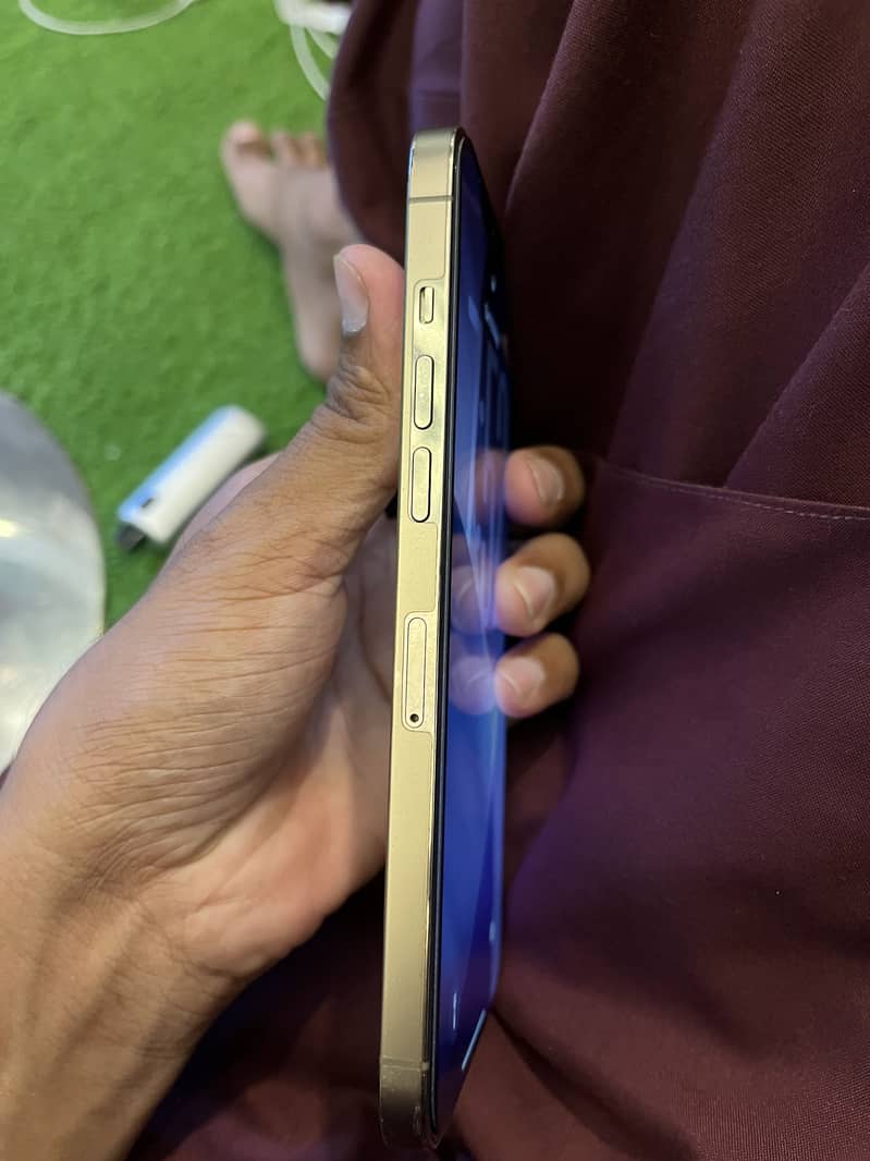 Iphone 12 Pro Max 3