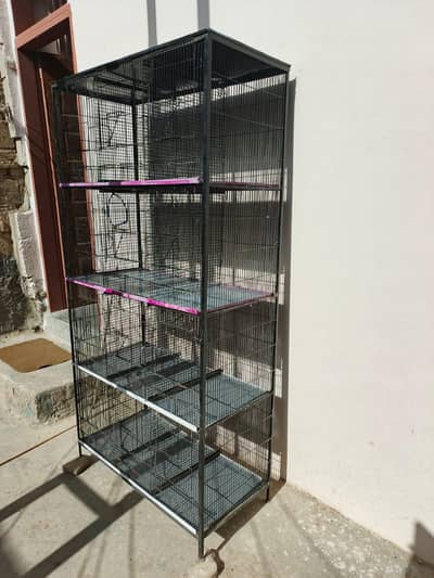 Birds cage
