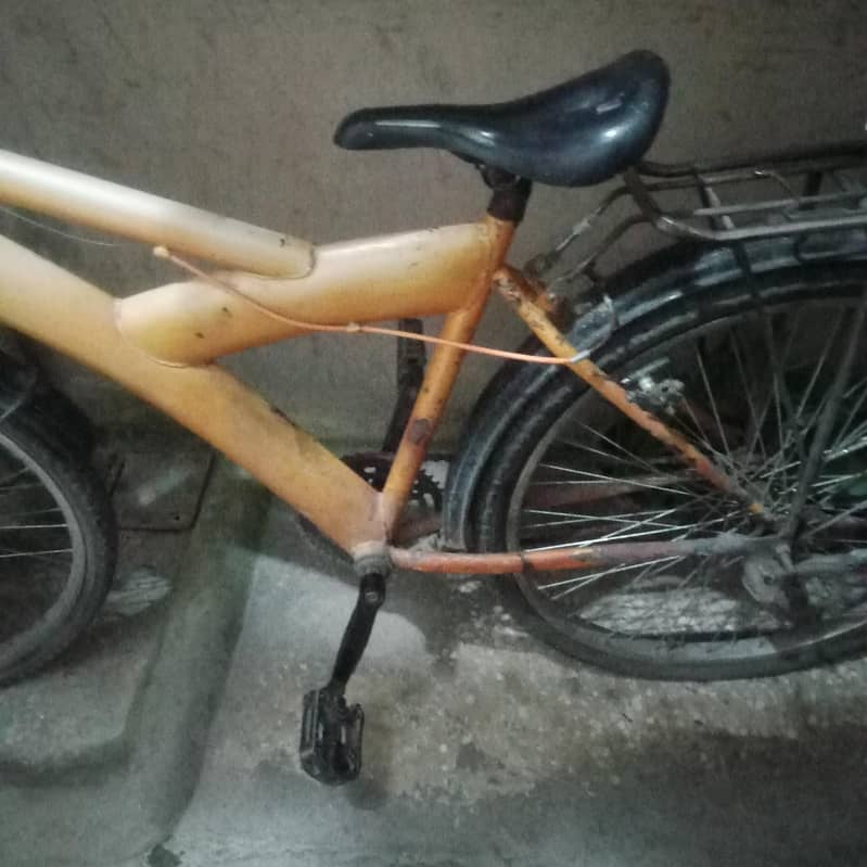 Bicycle Mountain Manual 1