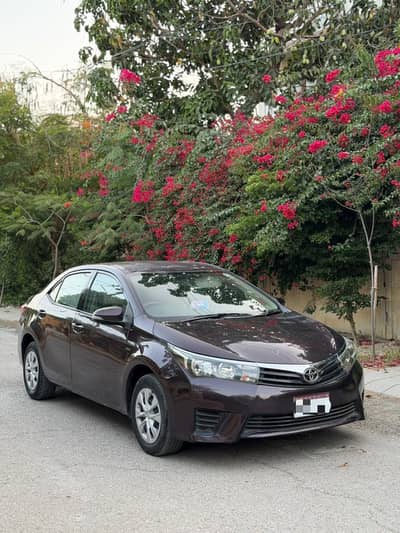 Toyota Corolla gli