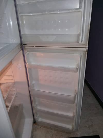 fridge SHARP refrigerator  Condition 10/10