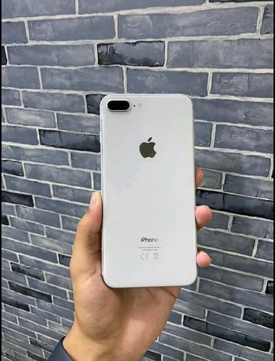 Only serious Buyer contact Urgent for sell
