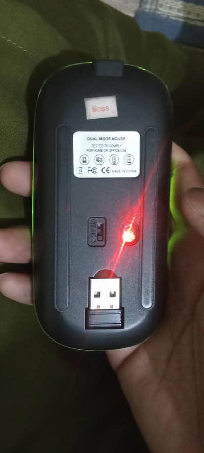 mouse