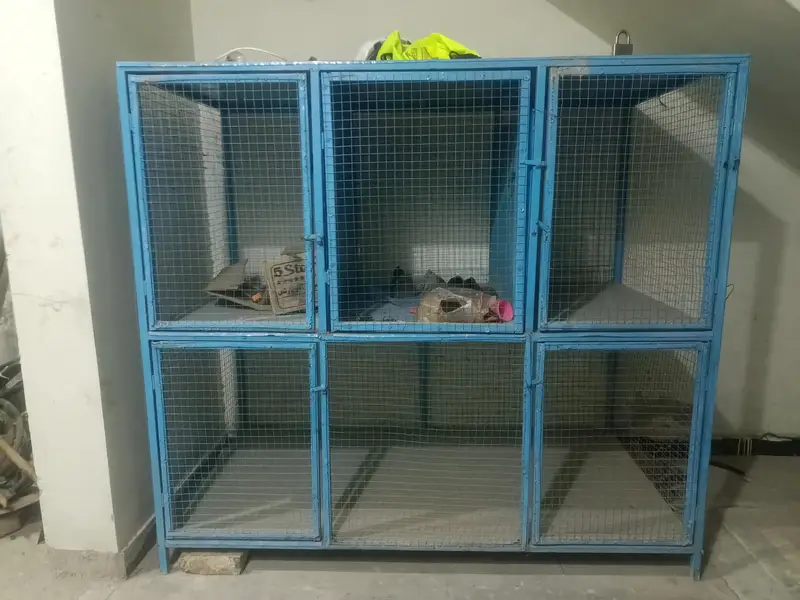 Bird Cage Pinjra — photo 2