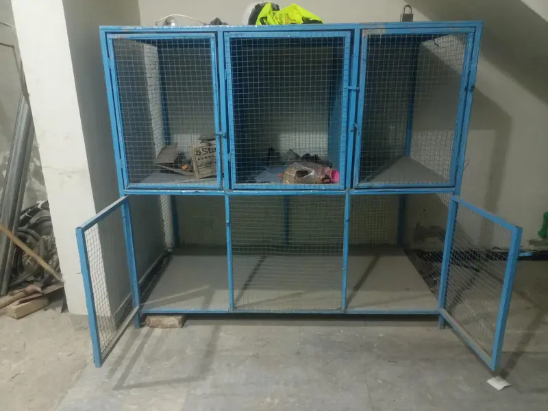 Bird Cage Pinjra — photo 3