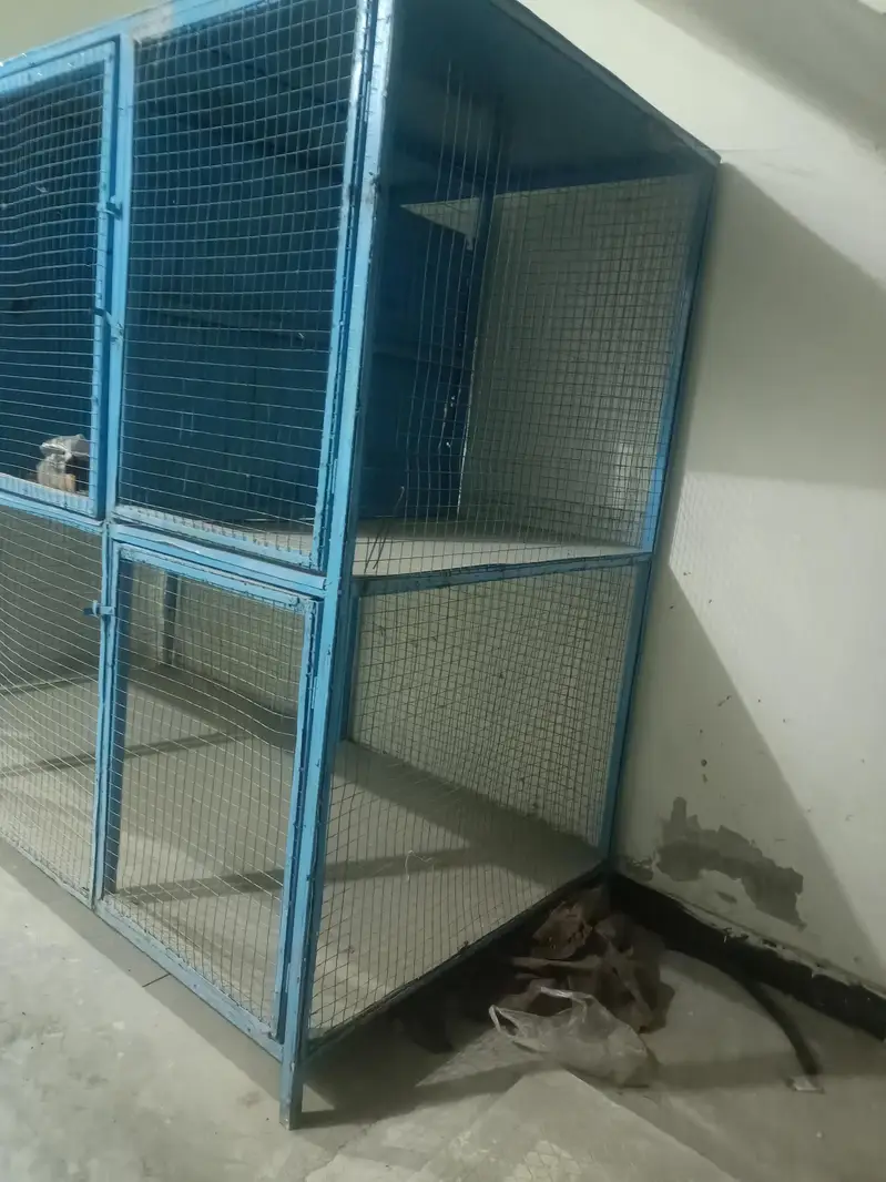 Bird Cage Pinjra — photo 5