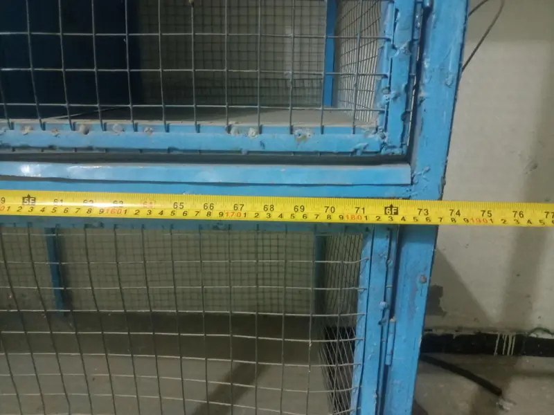 Bird Cage Pinjra — photo 8