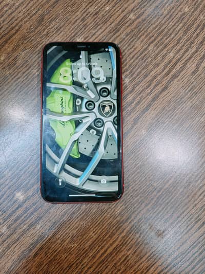 Iphone 11 (factory unlocked)