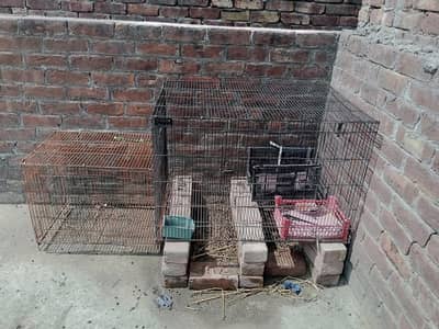 cage for sale
