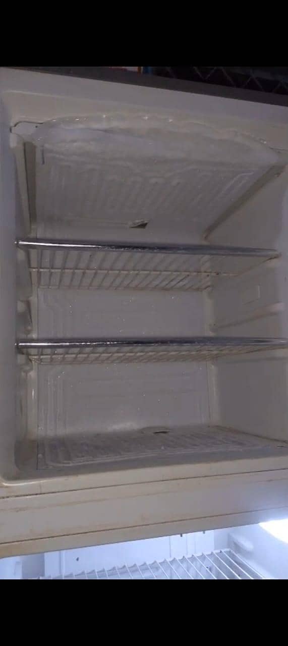 fridge 4