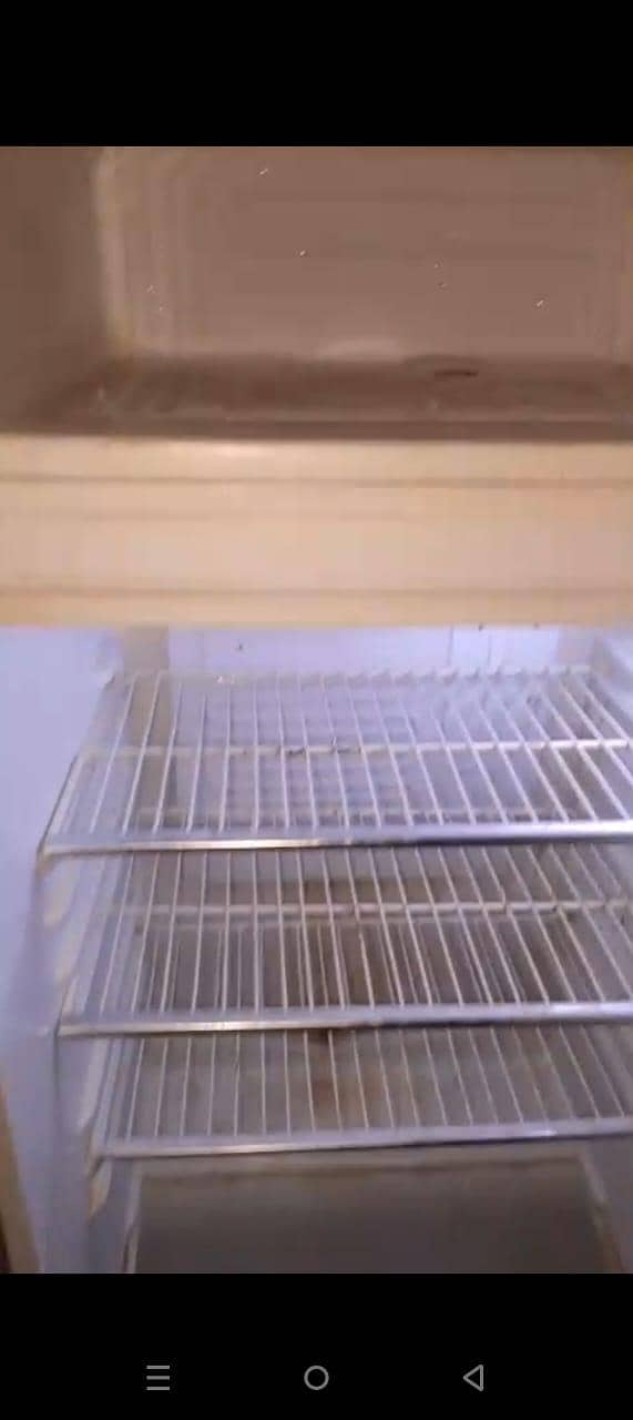 fridge 6