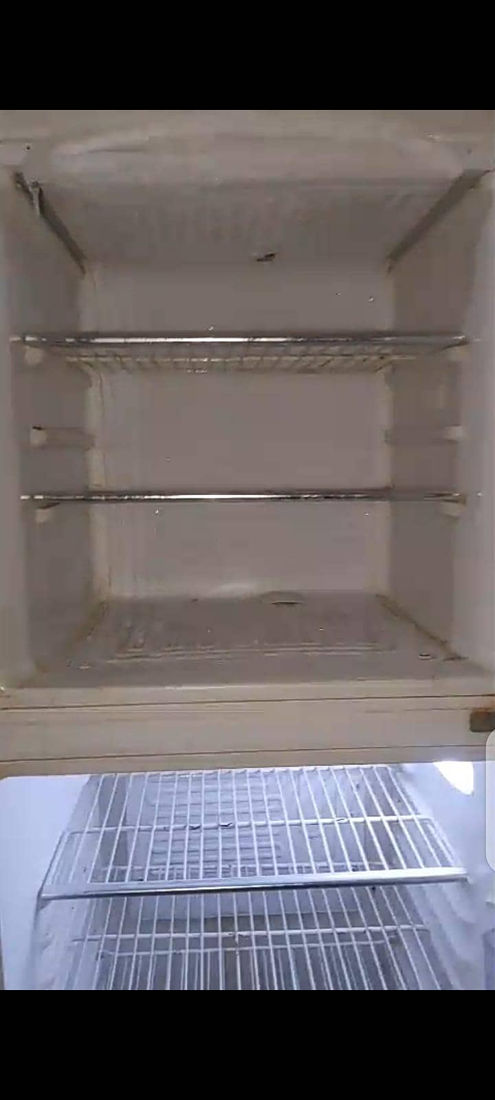 fridge 9