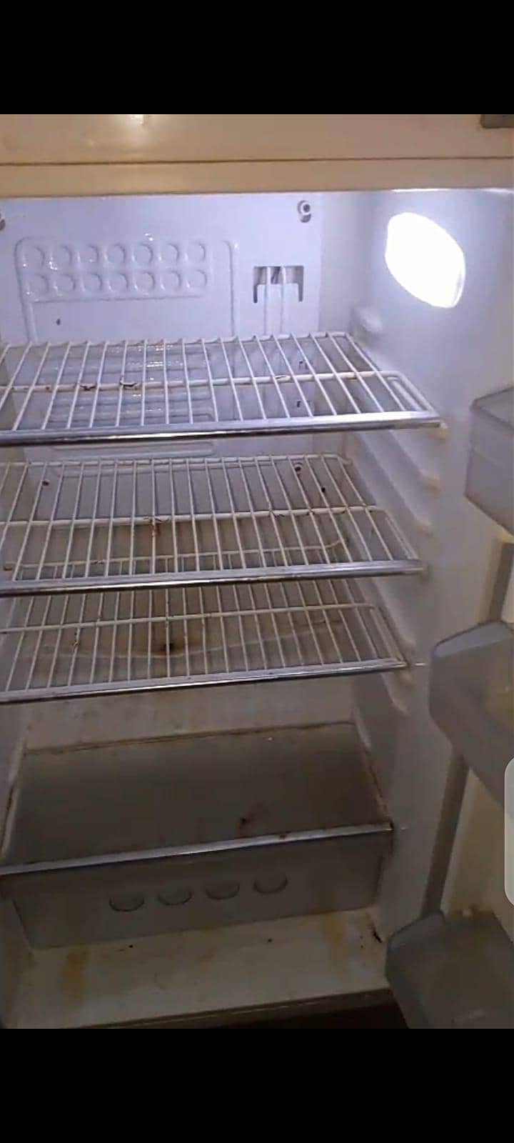fridge 10