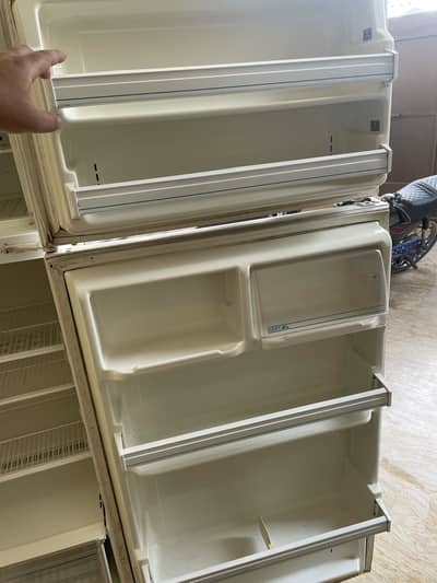 Fridge/Freezer Neat & Clean