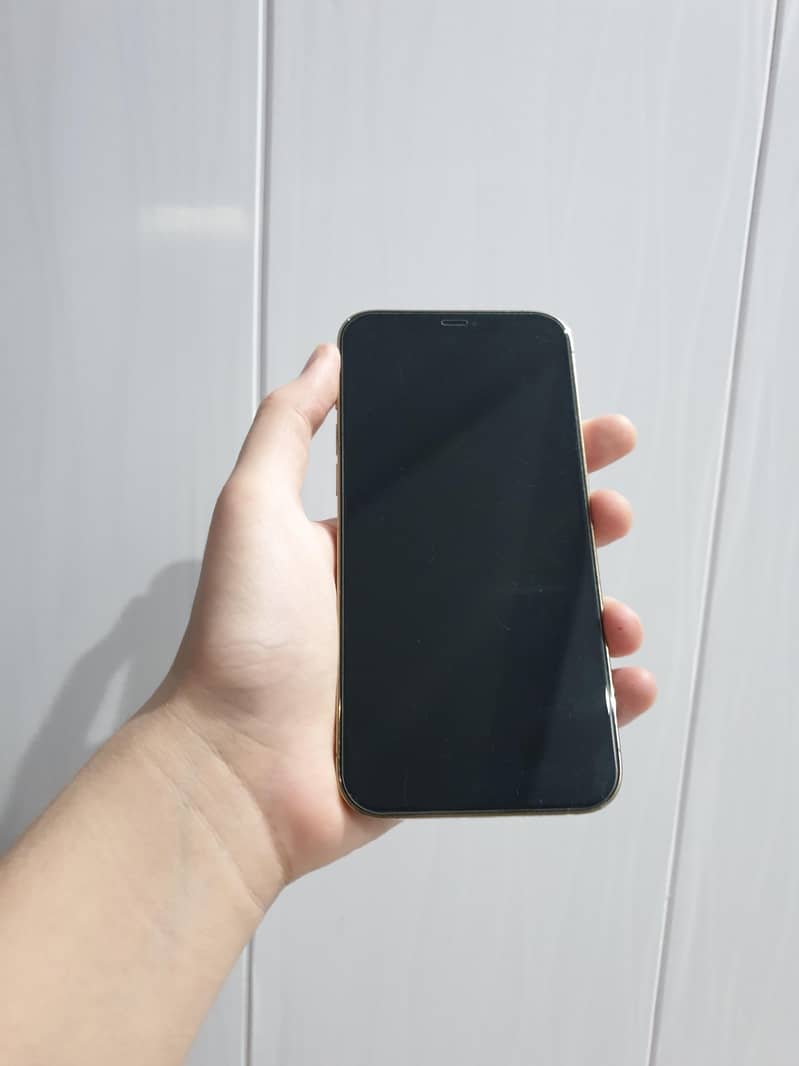 iPhone 12 Pro Max 1