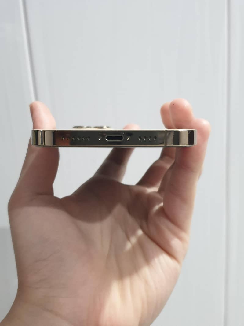 iPhone 12 Pro Max 3