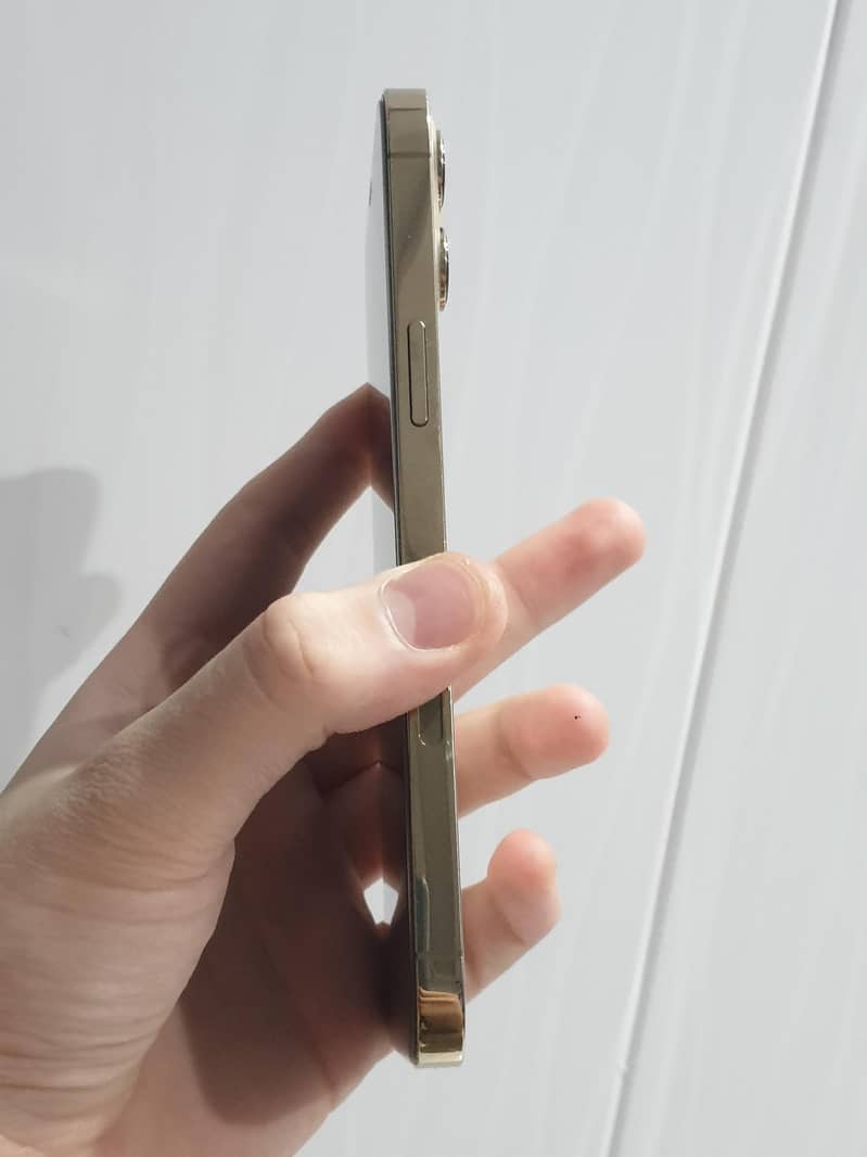 iPhone 12 Pro Max 4