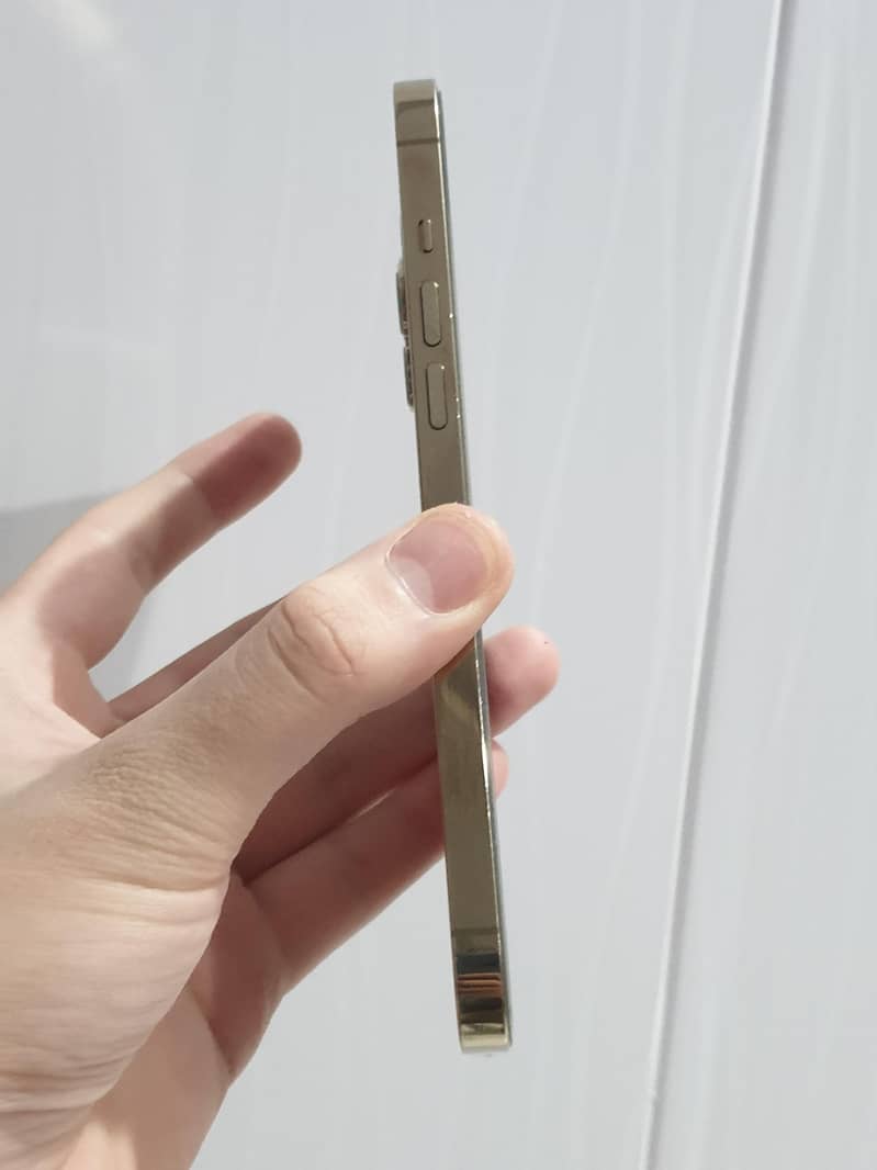 iPhone 12 Pro Max 5