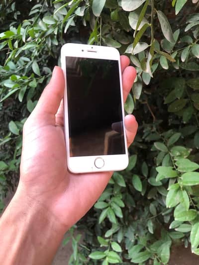 Iphone 6 16 gb pta approved best for hotspot