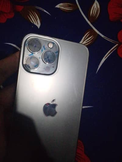 13 pro max