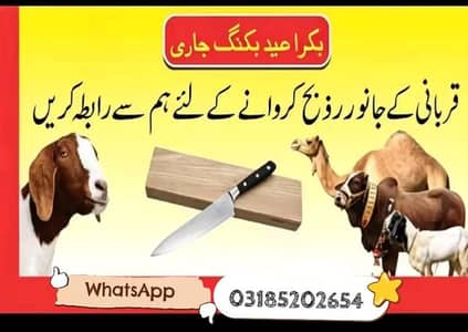 Qasaii service available in Rawalpindi