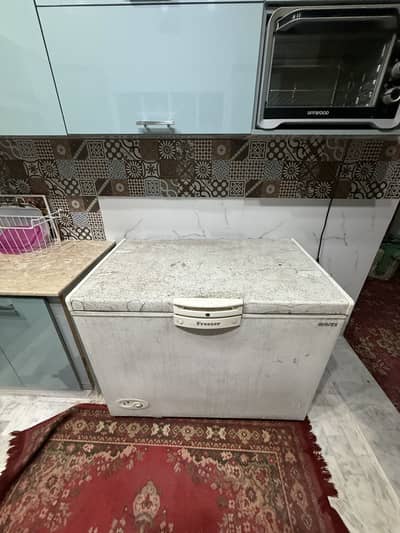 Waves freezer brand new condition