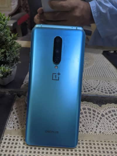 OnePlus 8 12/256
