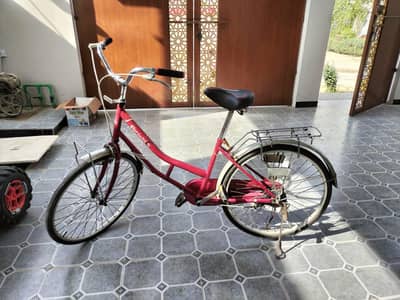 Periwinkle Bicycle