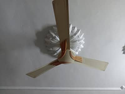 Royal fan copper winding