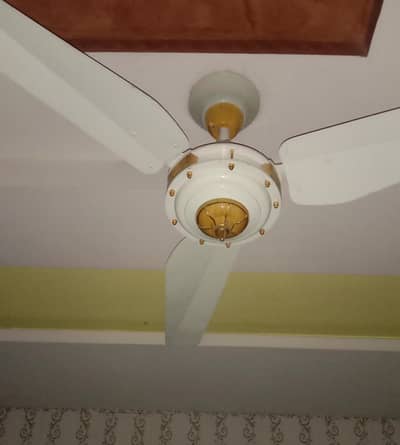 Ceiling Fan Chanab Fan