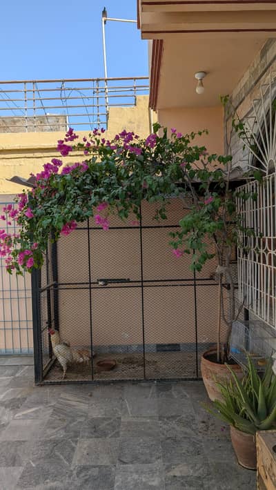 Cage for birds/ dogs/ cats
