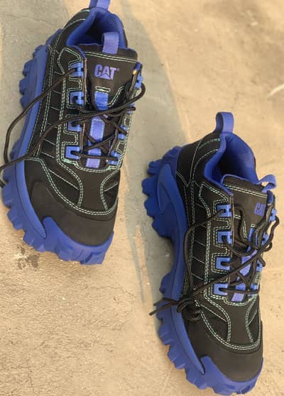 Cat Intruder shoes
