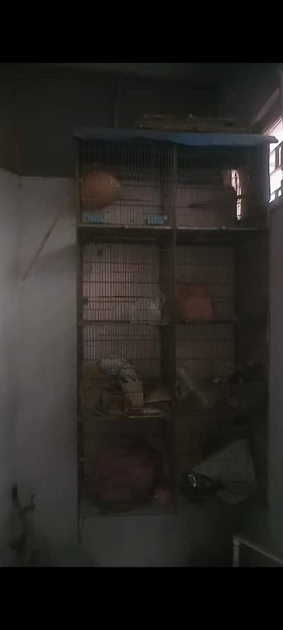 cage for sale