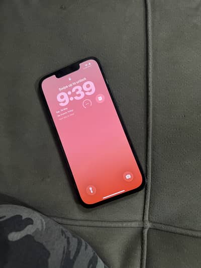 Iphone 13 Pta approve panel changed