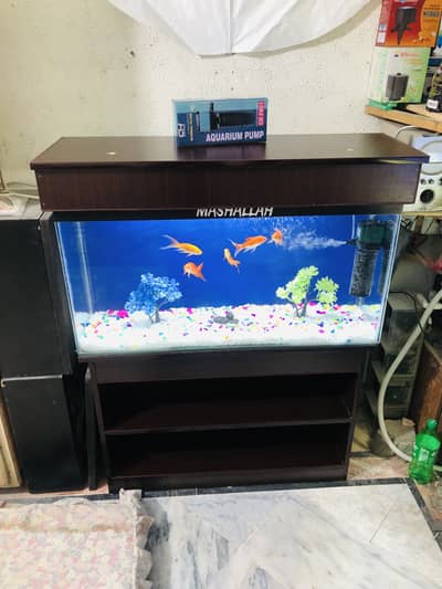 3fit fish aquarium complet setup 0311/4440283