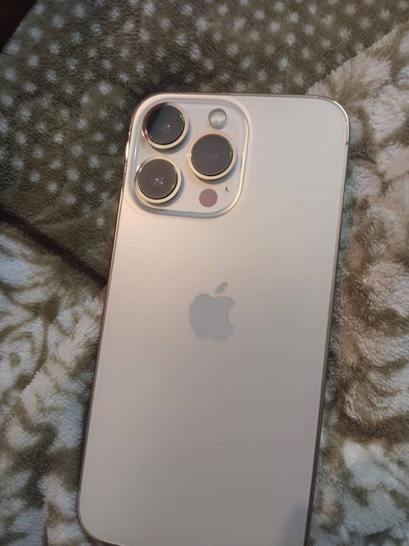 iPhone 13 Pro 0