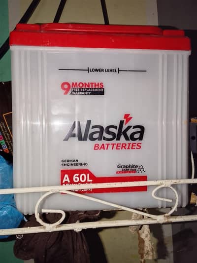 new battery with 9 months warranty