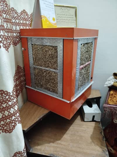 DC Air cooler