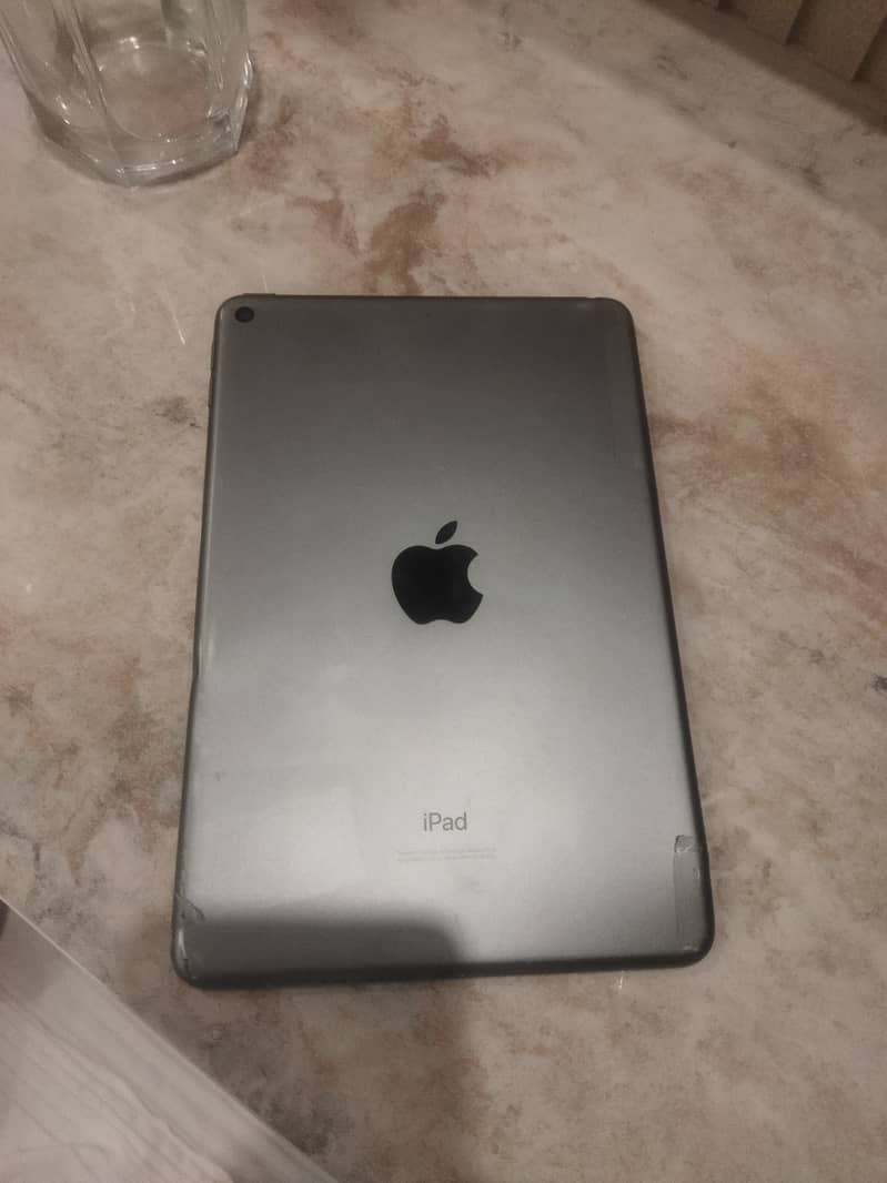 iPad Mini5 1